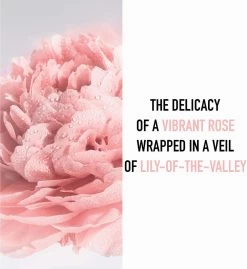 Dior Miss Dior - 100 Ml - Eau De Toilette 24 Dior Miss Dior - 100 Ml - Eau De Toilette -Parfumwinkel voor één product 1103x1200