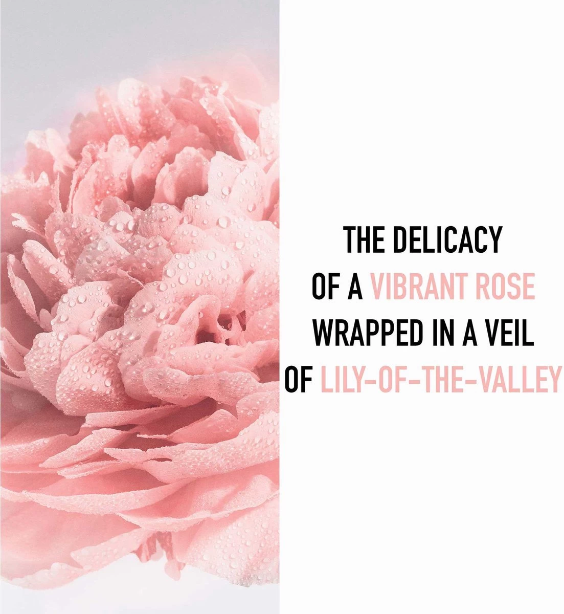 Dior Miss Dior - 100 Ml - Eau De Toilette 9 Dior Miss Dior - 100 Ml - Eau De Toilette - Afbeelding 7