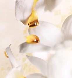 Dior J'adore 30 Ml - Eau De Parfum - Damesparfum -Parfumwinkel voor één product 1110x1200