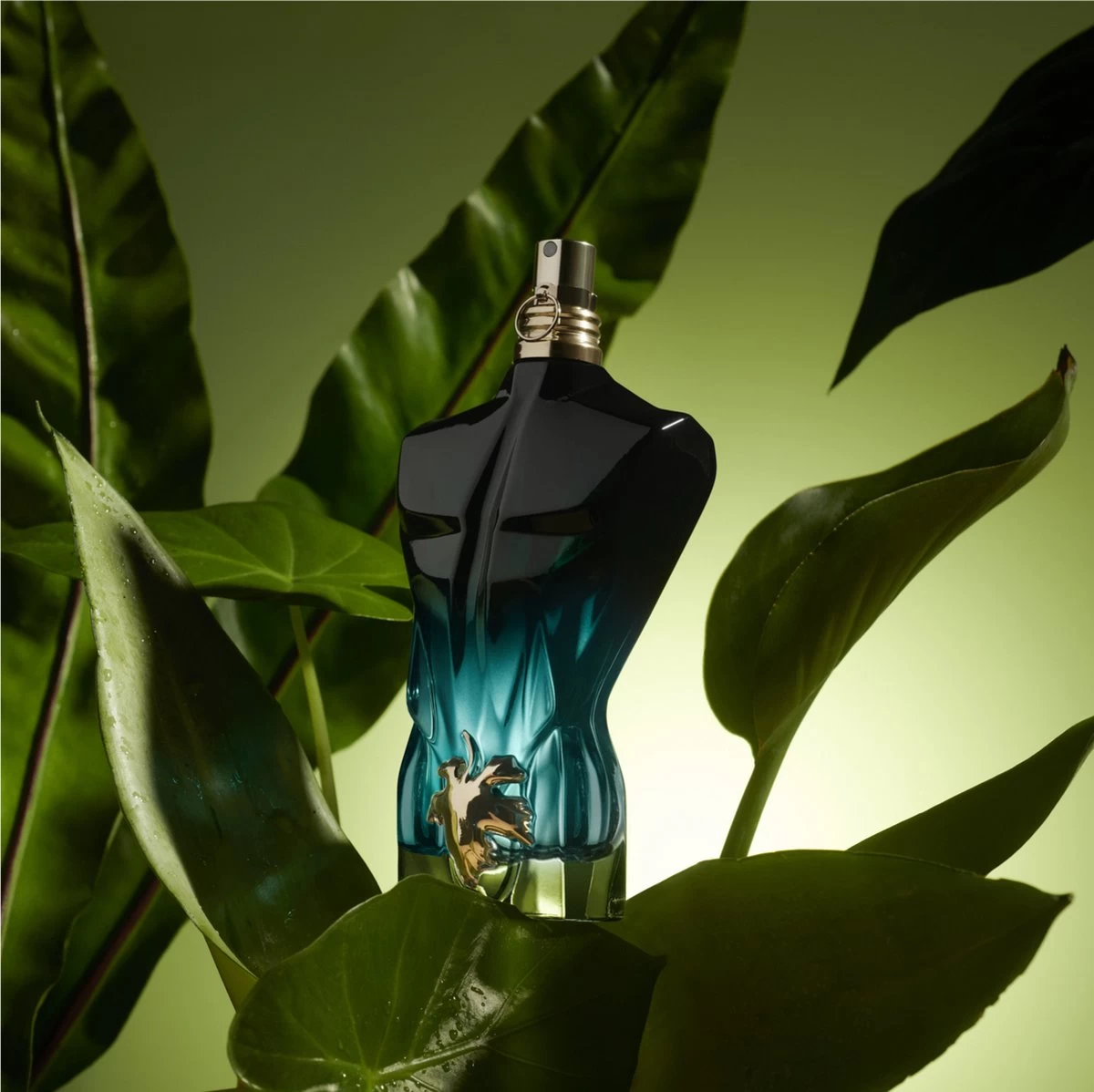 Jean Paul Gaultier Le Beau Le Parfum - 75 Ml - Eau De Parfum Spray - Herenparfum 10 Jean Paul Gaultier Le Beau Le Parfum - 75 Ml - Eau De Parfum Spray - Herenparfum - Afbeelding 8