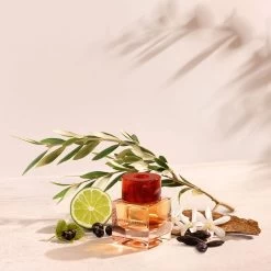 Bottega Veneta Illusione For Her Eau De Parfum Spray 75 Ml -Parfumwinkel voor één product 1200x1200 135