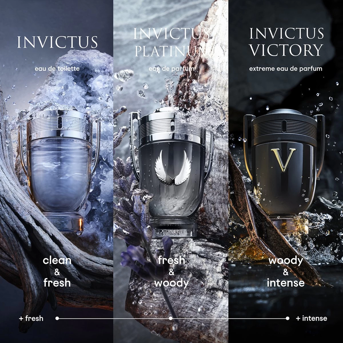 Paco Rabanne Invictus 200 Ml - Eau De Toilette - Herenparfum 8 Paco Rabanne Invictus 200 Ml - Eau De Toilette - Herenparfum - Afbeelding 6