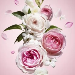 Viktor & Rolf Flowerbomb 50 Ml - Eau De Parfum - Damesparfum 35 Viktor & Rolf Flowerbomb 50 Ml - Eau De Parfum - Damesparfum -Parfumwinkel voor één product 1200x1200 51