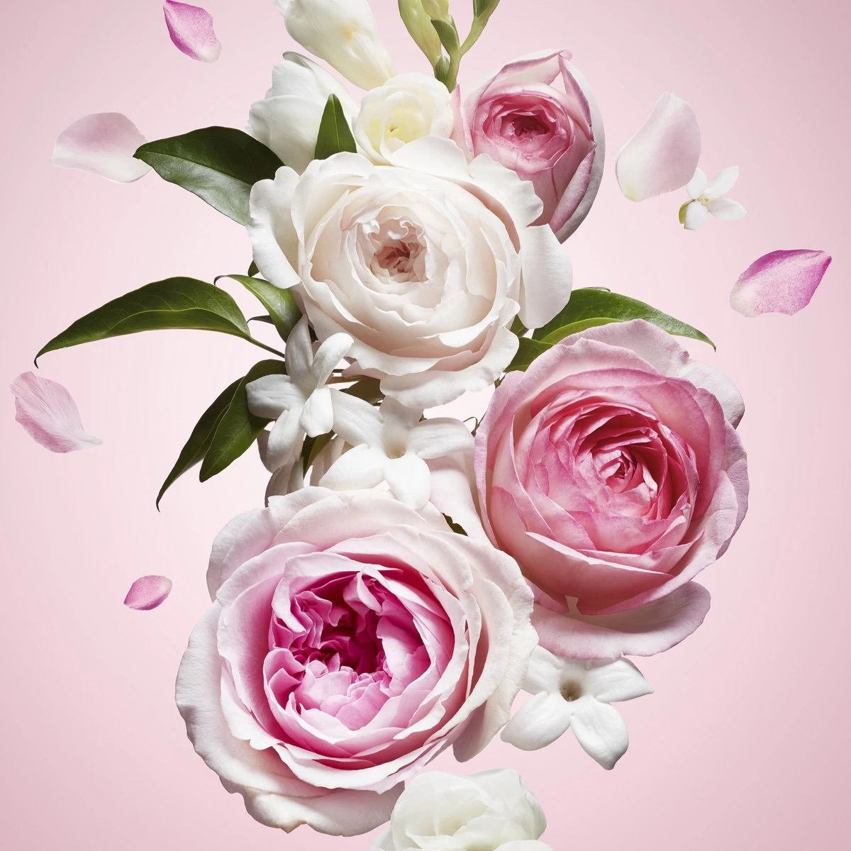 Viktor & Rolf Flowerbomb 50 Ml - Eau De Parfum - Damesparfum 16 Viktor & Rolf Flowerbomb 50 Ml - Eau De Parfum - Damesparfum - Afbeelding 14