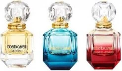 Roberto Cavalli - Paradiso Assoluto - Eau De Parfum - 75 Ml -Parfumwinkel voor één product 1200x698