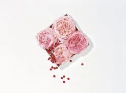 Lancôme Miracle 30 Ml - Eau De Parfum - Damesparfum 31 Lancôme Miracle 30 Ml - Eau De Parfum - Damesparfum -Parfumwinkel voor één product 1200x886 1