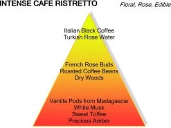 Montale Ristretto Intense Café Extrait De Parfum 100 Ml 9 Montale Ristretto Intense Café Extrait De Parfum 100 Ml -Parfumwinkel voor één product 1200x898